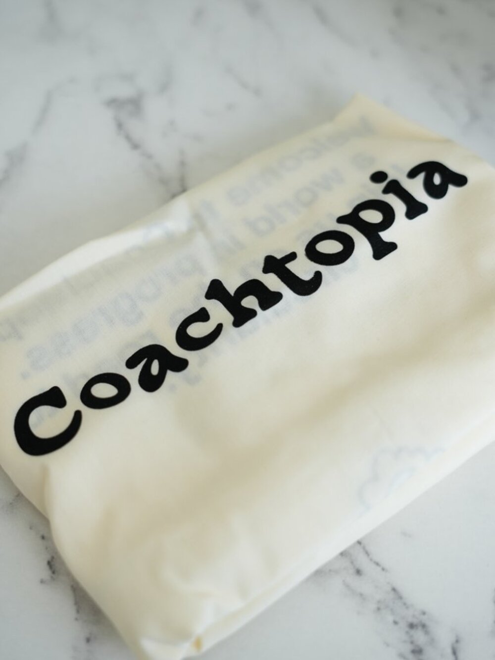 Coach Coachtopia CGP69 Alter/Ego Small Slouchy Shoulder Bag Pink/Brown NWT - Picture 7 of 9